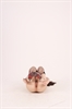 Thumnail / 2 / 30 / 36